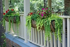 some plants that are hanging from the side of a porch rail with flowers in them