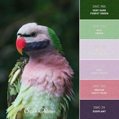 a colorful bird sitting on top of a tree branch in front of green leaves and trees