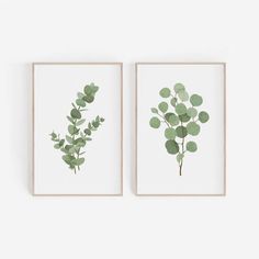 two framed prints with green leaves on them