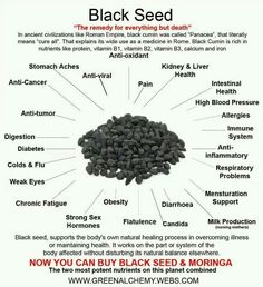 Black seed Black Cumin Seed Oil Benefits, Benefits Of Black Seed, Black Cumin Seed Oil, Black Cumin Seed, Black Cumin, Food Health Benefits, Herbal Healing, Black Seed Oil, Home Health Remedies