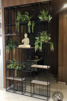 a room filled with lots of plants and bookshelves on top of each other