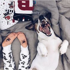 Exactly how I feel today!    Our Jack Russell Terrier print organic cotton baby pants are waiting for the owner, @etsy shop link in bio. Thanks to Mom @mamala_leo for the photo!   #monofaces Gift Newborn, Baby Pants, Russell Terrier, Jack Russell Terrier, Newborn Gifts, Cotton Baby, Jack Russell, How I Feel