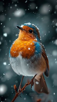 a colorful bird sitting on top of a tree branch in the snow with drops of water