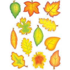 an assortment of autumn leaves on a white background