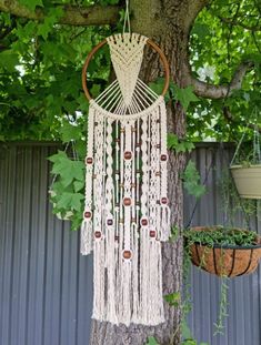 a macrame dream catcher hanging from a tree