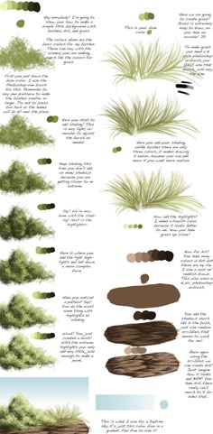 the different types of plants and rocks are shown in this graphic diagram, which shows how they