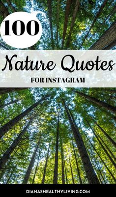 trees with the text, 100 nature quotes for instagramm on top and below