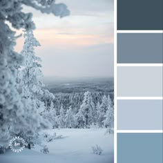 the color scheme is blue and grey with white trees in the foreground, snow - covered mountains in the background