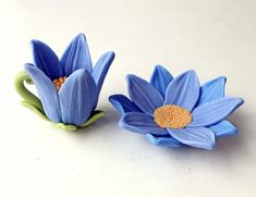 two blue flowers sitting on top of a white table