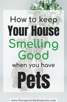 a poster with the words how to keep your house smelling good when you have pets