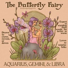 the butterfly fairy book cover with an illustration of a woman sitting on top of a rock