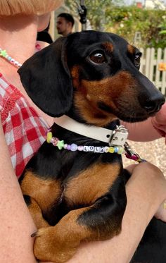 a woman holding a small black and brown dog in her lap while wearing a white collar