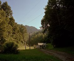 a dirt road in the middle of some trees and grass with a small house on it