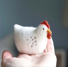 a small white chicken sitting on top of someone's hand