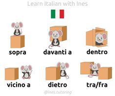 an image of different types of animals with italian words on them, including a mouse in a box