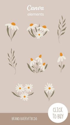 flowers and leaves with the words canva elements