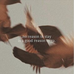 two birds flying next to each other with a quote on the bottom right corner that reads, no reason to stay is a good reason to go