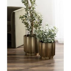 three brass planters with plants in them sitting on the floor next to a couch