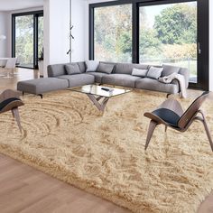 a modern living room with large windows and beige carpeted area rug on the floor