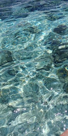 the water is crystal blue and clear with little fish swimming around it's surface