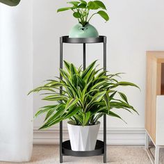 a potted plant sitting on top of a metal stand next to a white wall