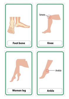 four different types of foot bones and their corresponding parts are shown in the diagram below