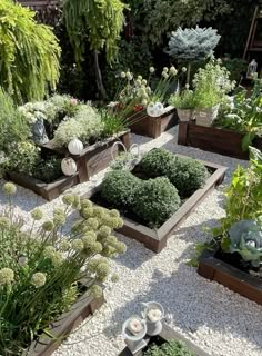 a garden filled with lots of different types of flowers and plants on top of gravel