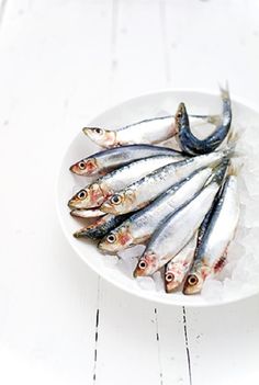 small fish are on ice in a white bowl