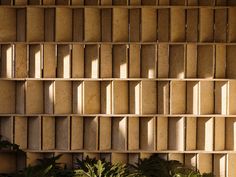 a wall made out of wooden blocks with plants in the foreground and sunlight streaming through them