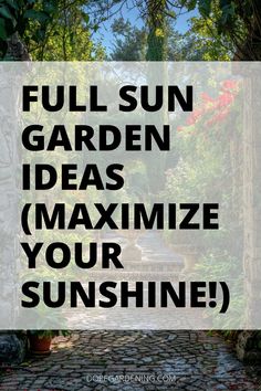 the words full sun garden ideas maximumize your sunshine