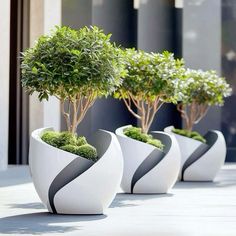 three white planters with trees in them