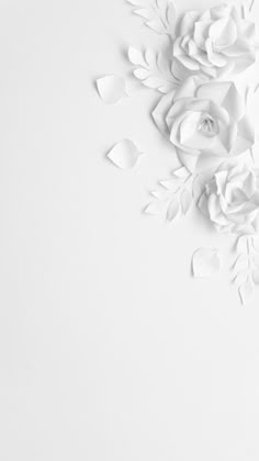 white paper flowers on a white background