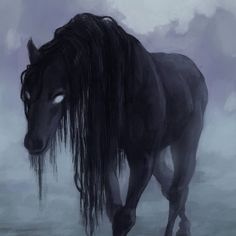 a black horse with long hair standing in the fog