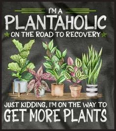 i'm a plantaholicc on the road to recovery just kidding, i'm on the way to get more plants