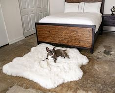 a small dog laying on top of a white sheepskin rug in front of a bed