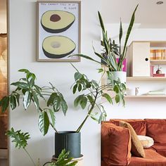 a living room filled with lots of plants next to a brown couch and bookshelf