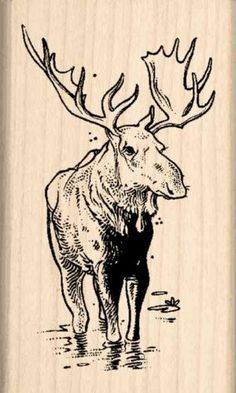 a rubber mounted stamp with an image of a moose in the water on it's side