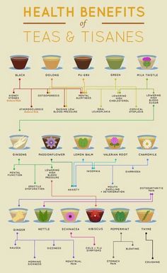 the health benefits of teas and tisanes in different bowls on a white background