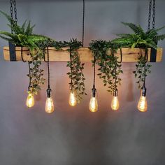 several light bulbs hanging from a wooden beam with plants growing out of them