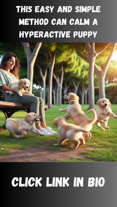 a woman is sitting on a bench with her puppies in front of her and the caption reads, this easy and simple method can calm a hyperactive puppy