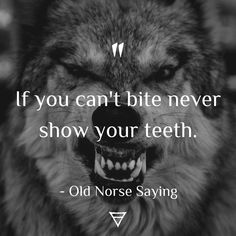 an image of a wolf with the quote if you can't bite never show your teeth