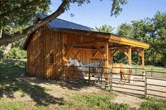 a horse standing in front of a wooden building with a metal roof and fence around it