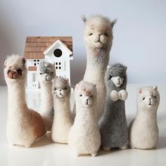 a group of alpacas standing in front of a birdhouse with their babies