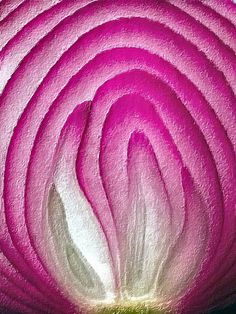 the center of a pink flower with white stamen