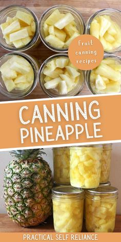 canning pineapples in jars with text overlay reading canning pineapple practical self reliance