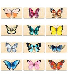 butterflies are shown in different colors on wooden squares, each with one individual's own image