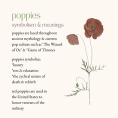 poppies symbolism and meaning Red Poppy Meaning, Poppy Meaning Language Of Flowers, Meaning Of Poppy Flower, Poppy Witchcraft, Poppy Flower Tattoo Meaning, Poppy Flower Quotes, Poppy Flower Symbolism