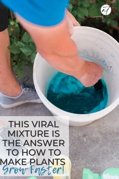 a person standing in front of a white bucket filled with blue dye and text that reads 4 ingredient plant food for the biggest plants ever