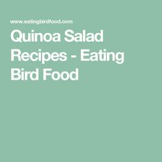 the words quinoa salad recipes - eating bird food are in white letters on a green background