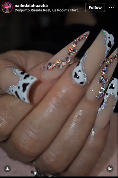 Rodeo Nail Ideas, Baddie Stiletto Nails, Rodeo Nails, Western Nails, Bunny Nails, Baddie Nails, Short Square Acrylic Nails, Acrylic Nails Coffin Pink, Nails Diy